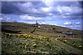 NT6599 : Isle of May - track towards lighthouse by Colin Park