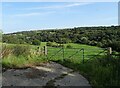 NZ0953 : View from Panshield by Robert Graham