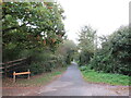 SZ5092 : Red Squirrel Trail near Cowes by Malc McDonald