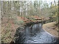 SK1789 : The River Derwent, looking downstream by Christine Johnstone