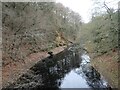 SK1789 : The River Derwent, looking upstream by Christine Johnstone