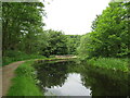 SE1015 : Huddersfield Narrow Canal, Milnsbridge, Huddersfield by Malc McDonald