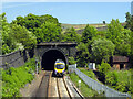 SE0008 : Western entrance to the Standedge Railway Tunnel by habiloid