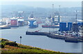 NJ9505 : Aberdeen Harbour viewed from the Torry Battery by Mat Fascione