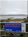 TM0519 : River Colne at Fingringhoe Wick Nature Reserve by PAUL FARMER