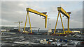 J3575 : Cranes, Belfast by Rossographer