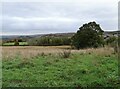 NZ0849 : View down the valley from Moorside by Robert Graham