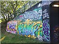 SE3118 : Horbury Underpass of Graffiti by Phillip De-Vere