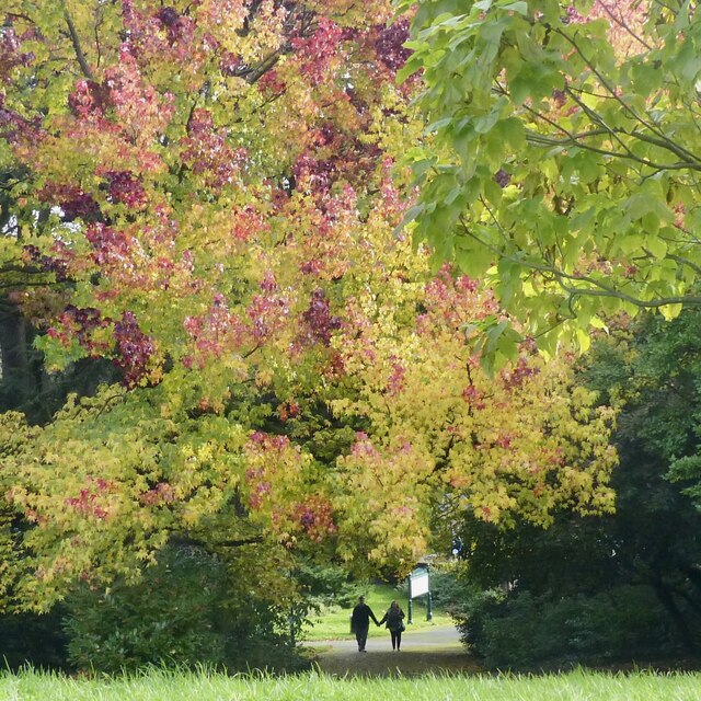 An autumn stroll in Belle Vue Park