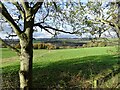 NZ1054 : View across the valley from the Derwent Walk by Robert Graham