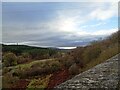 NZ1859 : View up the valley from Lockhaugh Viaduct by Robert Graham