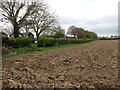 SE9937 : View from the High Hunsley Circuit as it approaches Walkington by Marathon