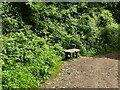 SH8379 : Seat on the path around Bryn Euryn by Stephen Craven