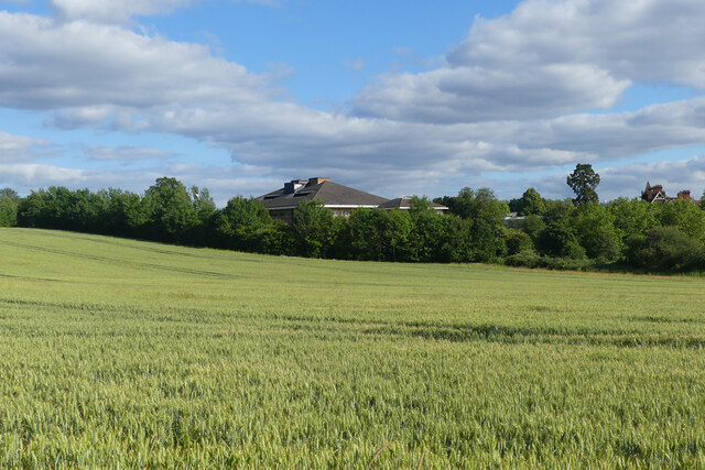 Farmland, Warfield