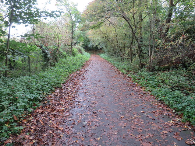 Path at the end of Thorneycroft lane