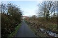 SE6143 : Tree work along the cycle path by DS Pugh