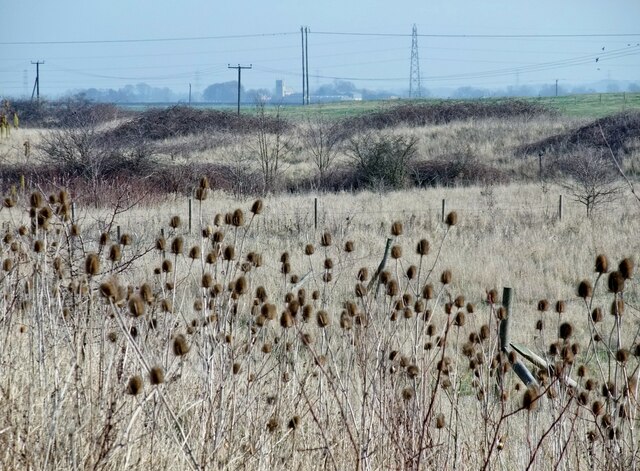 Noddle Hill Nature Reserve, Kingston upon Hull