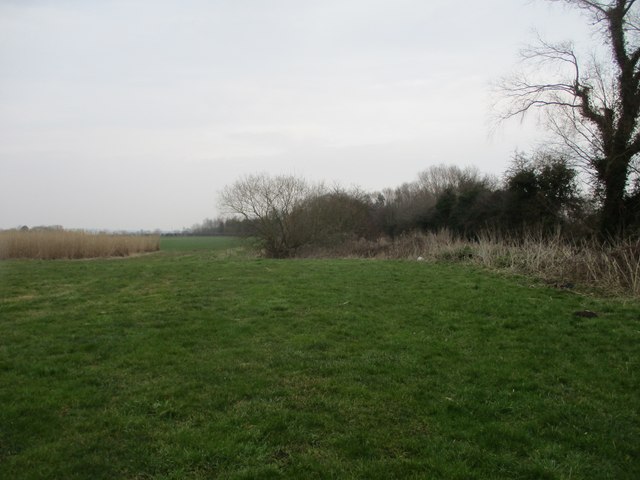 A  filled  in  section  of  the  Market  Weighton  Canal