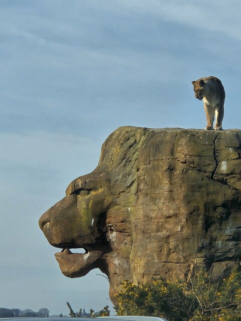 Lion Rock - West Midlands Safari Park