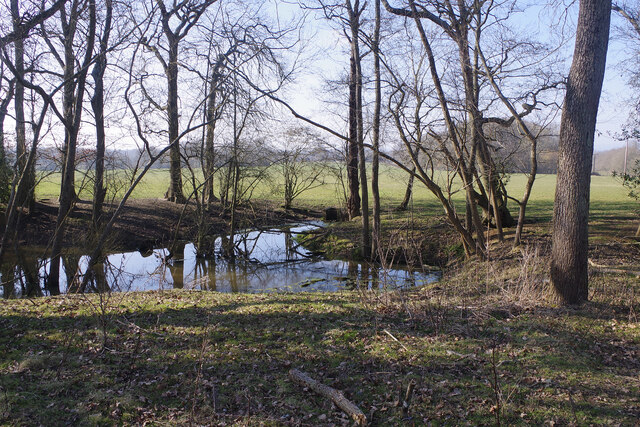 Field pond near Hever Station