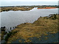 SD4213 : Looking over the new Woodend Wetlands by Nigel Homer