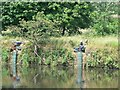 SE3118 : Fishing on the River Calder, Wakefield by Rich Tea