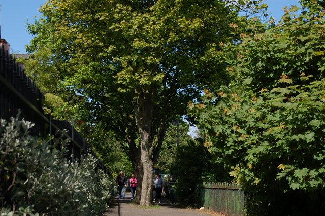 Towpath, Stranmillis, Belfast