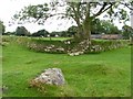 SX5372 : Field Corner near Sampford Spiney by Mike White