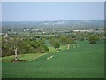 TQ6842 : Fields off Crook Road by Oast House Archive