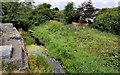 J1264 : Disused Lagan canal. Aghalee (1) by Albert Bridge