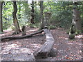 SO9974 : Lickey Hills Sculptures - 3 by Michael Westley