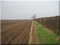 SE9937 : Footpath  north  of  Walkington by Martin Dawes