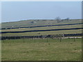 SK1270 : Upland grazing towards Chelmorton Low by Andrew Hill