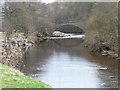 SD9497 : Goosander on the Swale by Christine Johnstone