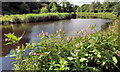 J3470 : The River Lagan, Stranmillis, Belfast by Albert Bridge