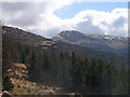  : Forestry on north side of Glen Lochy by Trevor Littlewood