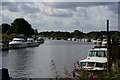 SE5946 : The River Ouse south of Naburn Bridge by Ian S