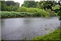 NT6524 : Heavy rain on the Teviot by Jim Barton