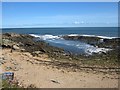 NU2617 : The rocky coastline at Sea Houses by Graham Robson