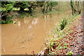 J3269 : Flooded disused canal near Shaw's Bridge, Belfast (December 2015) by Albert Bridge