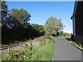 NZ3367 : Path and North Tyneside Steam Railway by Richard Webb