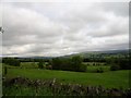 NZ0736 : Looking west up Weardale from Wear Bank, Wolsingham by Robert Graham