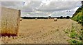 SE6140 : Baled up beside Mount Farm by Chris Morgan