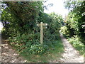 TQ5501 : Footpath Junction Sign by PAUL FARMER