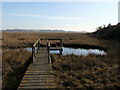 TM0519 : Boardwalk at Fingringhoe Wick Nature Reserve by PAUL FARMER