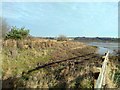 TM0420 : Boundery Fence of Fingringhoe Wick Nature Reserve by PAUL FARMER