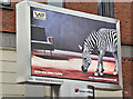 J3373 : Zebra digital advertising, Belfast (March 2017) by Albert Bridge