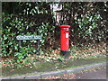 SO9974 : Elizabeth II postbox on Plymouth Road, Barnt Green by JThomas