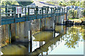 J3470 : The Stranmillis weir, Belfast (June 2018) by Albert Bridge