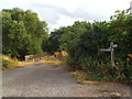 SP7382 : Brampton Valley Way near Arthingworth by Malc McDonald